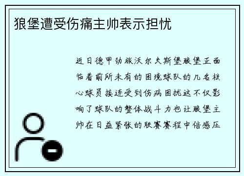 狼堡遭受伤痛主帅表示担忧